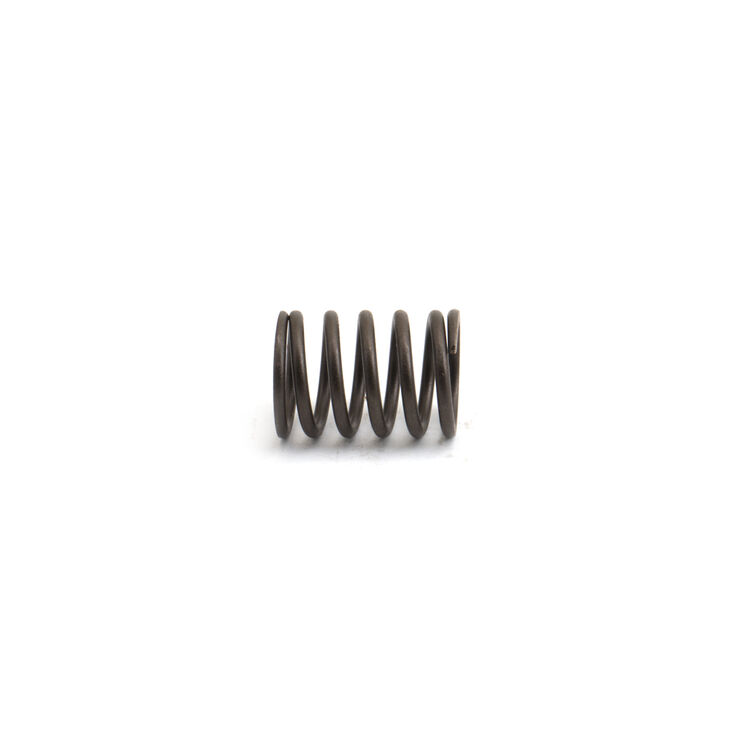 Valve Spring