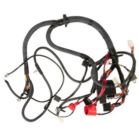 Main Harness Assembly