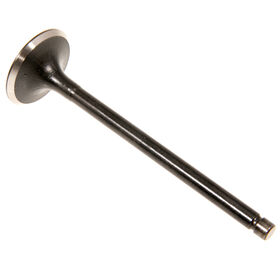 INTAKE VALVE                  