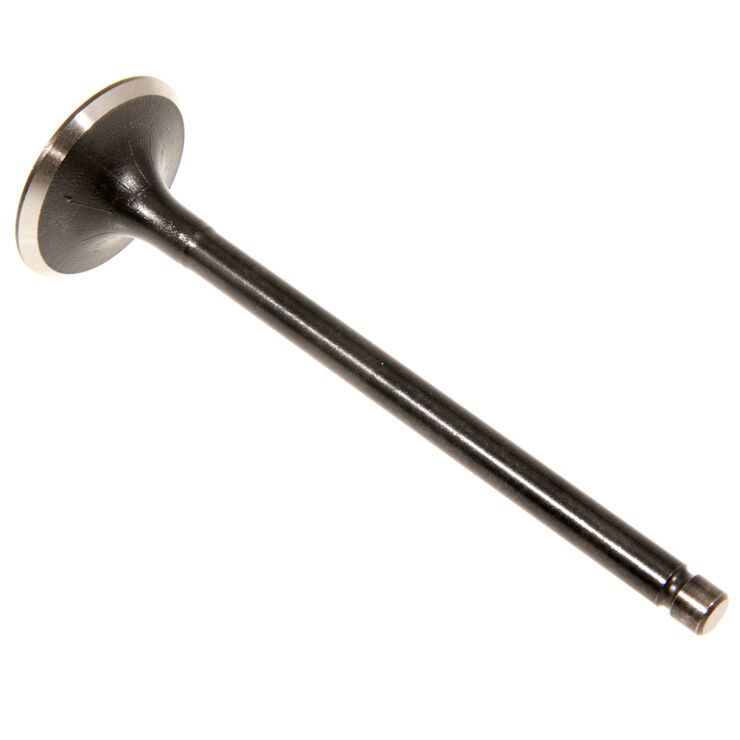 INTAKE VALVE                  