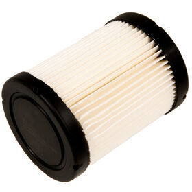 Air Filter &#40;591583&#41;