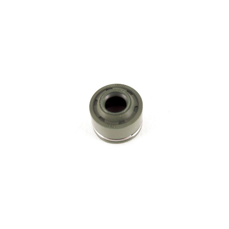 Intake Valve Seal