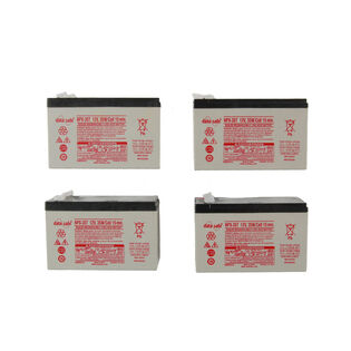 12V Battery (Qty 4)