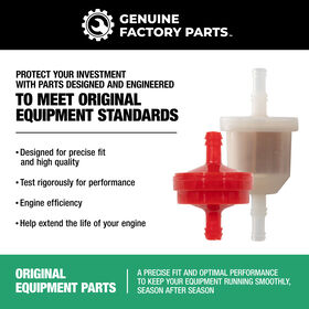 Fuel Filter &amp; Spark Plug Kit