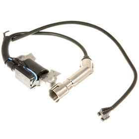 IGNITION MODULE               
