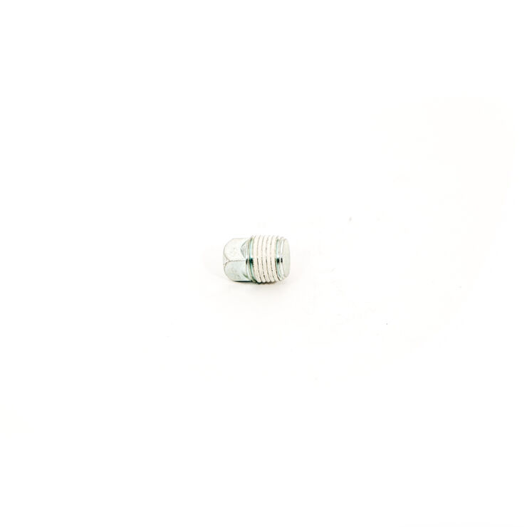 Oil Plug 1/8 Npt