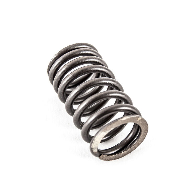 SPRING-INNER VALVE