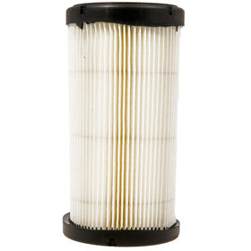Air Filter &#40;793569&#41;