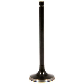 EXHAUST VALVE                 