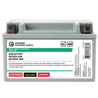 12-Volt AGM Lawn and Garden Battery - 135 CCA