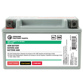 12-Volt AGM Lawn and Garden Battery - 135 CCA