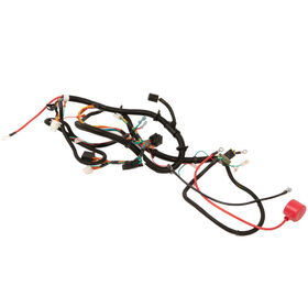 Main Harness