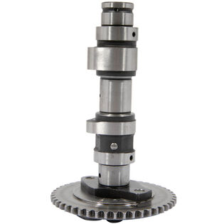 CAMSHAFT ASSEMBLY             