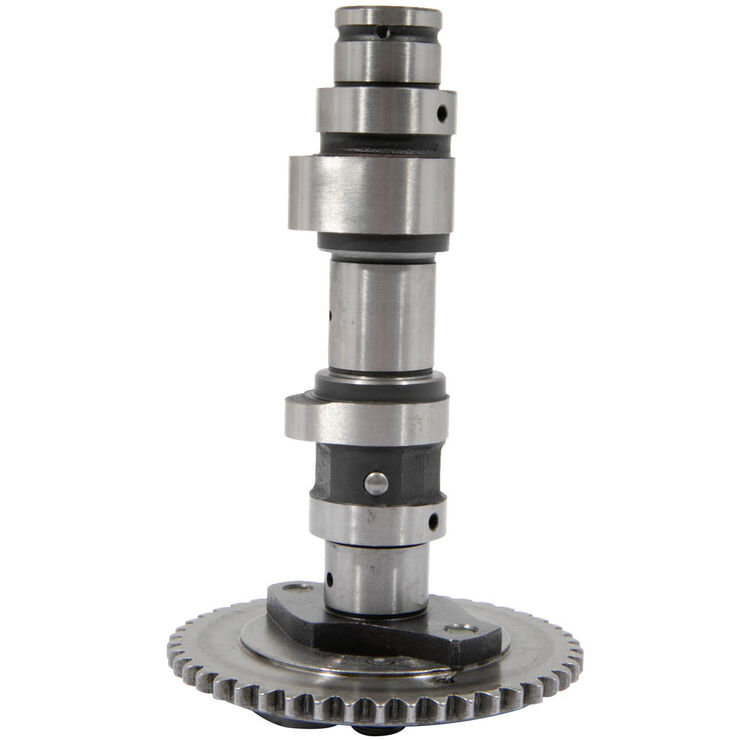 CAMSHAFT ASSEMBLY             
