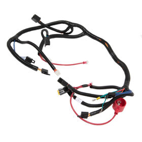 Main Wire Harness
