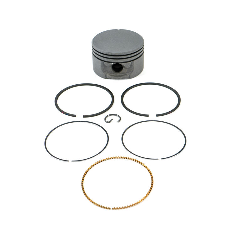 Rings and Piston Assembly Std
