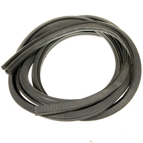 WINDSHIELD SEAL               
