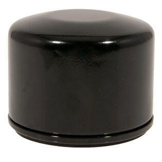 Oil Filter 492932 - 49065-7007