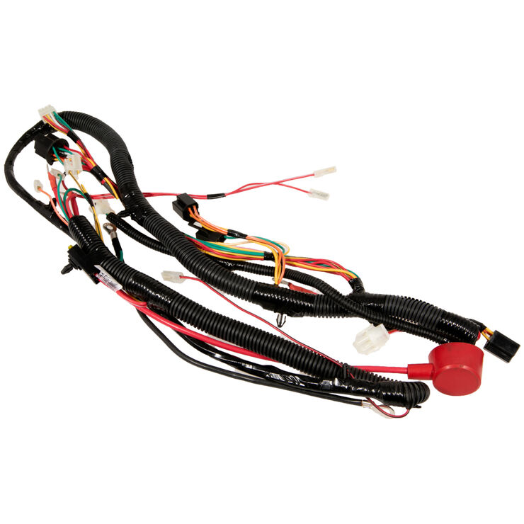 HARNESS-RT:MN AMTR           N
