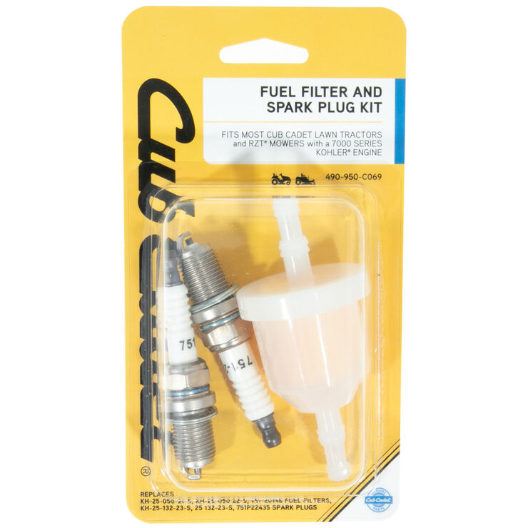 Fuel Filter and Spark Plug Kit