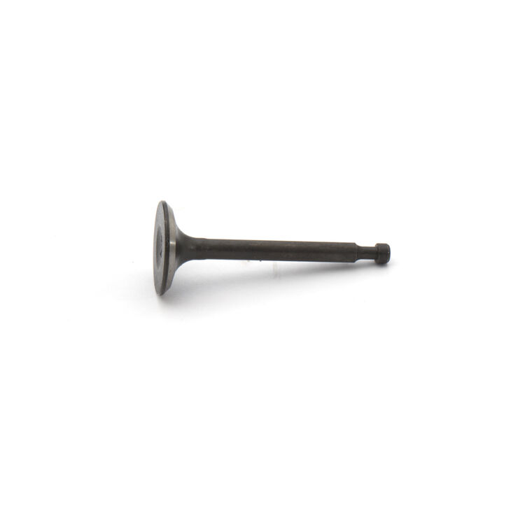 EXHAUST VALVE