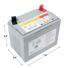 12-Volt Absorbent Glass Mat &#40;AGM&#41; Battery - 230 CCA