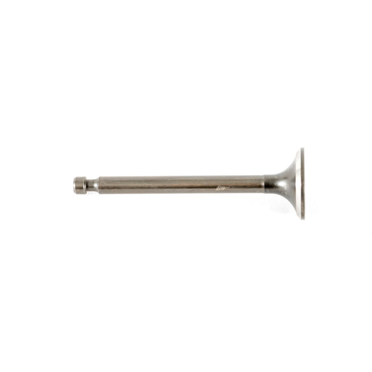 EXHAUST VALVE                 
