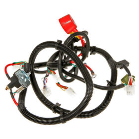 Main Harness