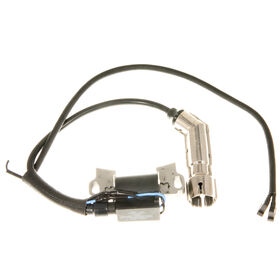 IGNITION MODULE               