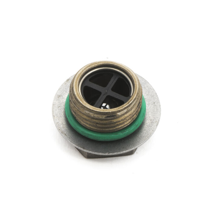 Check Plug Assembly .044