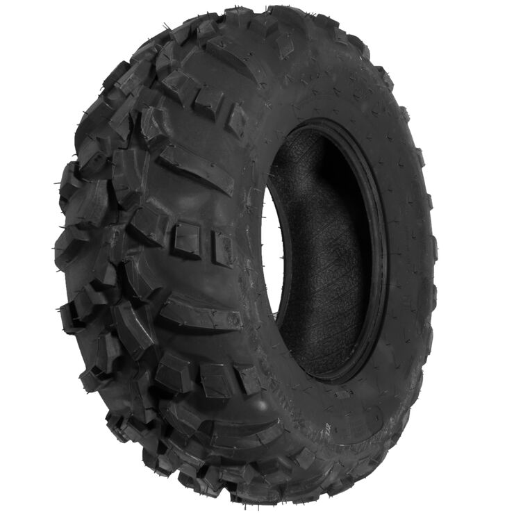 Tire 25 x 10-12