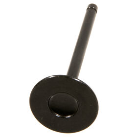 EXHAUST VALVE                 