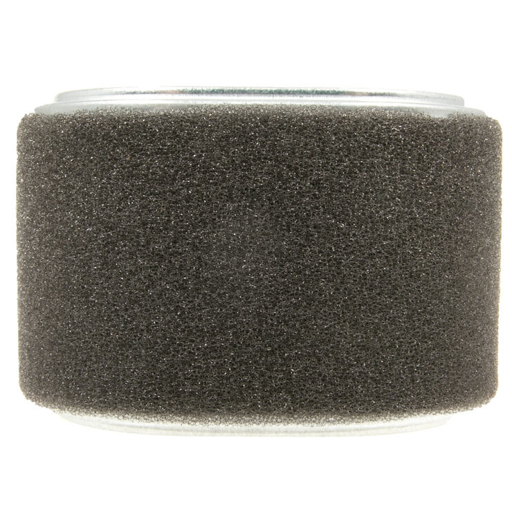 Honda Part Number 17210-Z4M-821. Air Filter Element