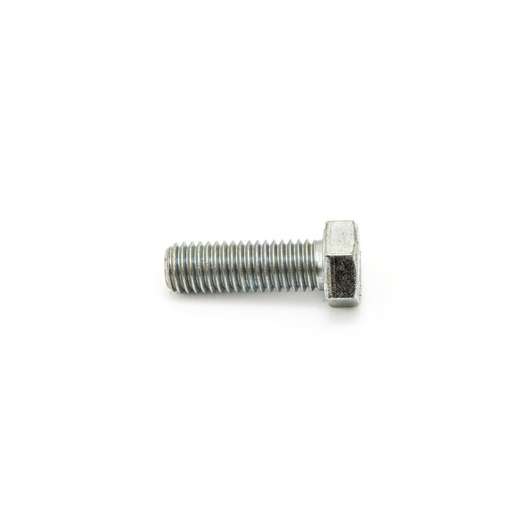 Screw