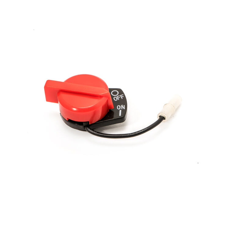 IGNITION SWITCH 95110622 Cub Cadet US