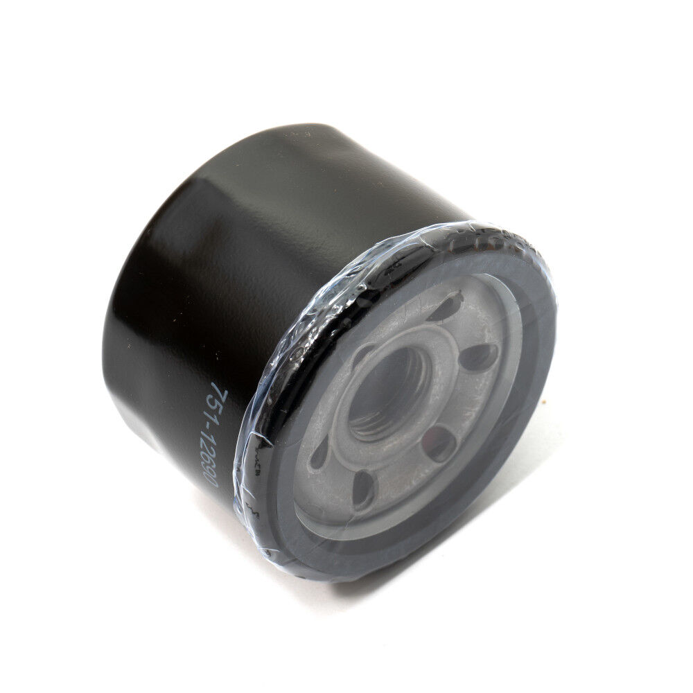 Cub cadet xt1 best sale enduro oil filter