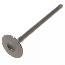 INTAKE VALVE                  