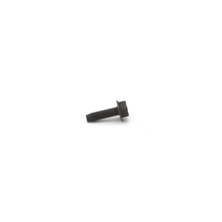 Valve Cover Screw