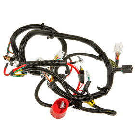 Main Harness