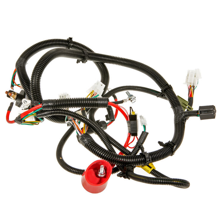 Main Harness