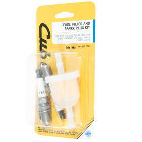 Fuel Filter and Spark Plug Kit