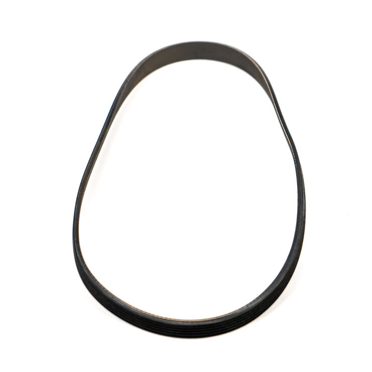 BELT-POLYVEE 23&quot;