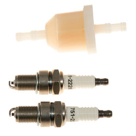 Fuel Filter &amp; Spark Plug Kit