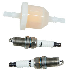 Fuel Filter and Spark Plug Kit