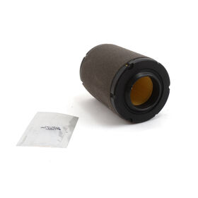 Air Filter with Precleaner