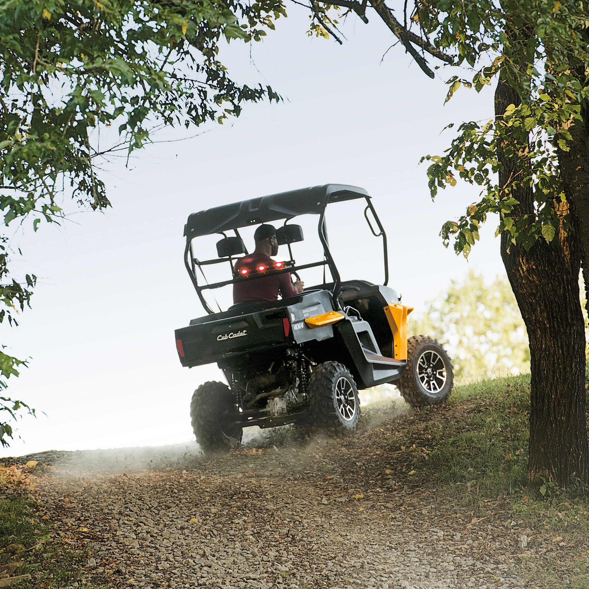 Auto Parts and Vehicles ATV, Side-by-Side & UTV Wheels & Tires Cub