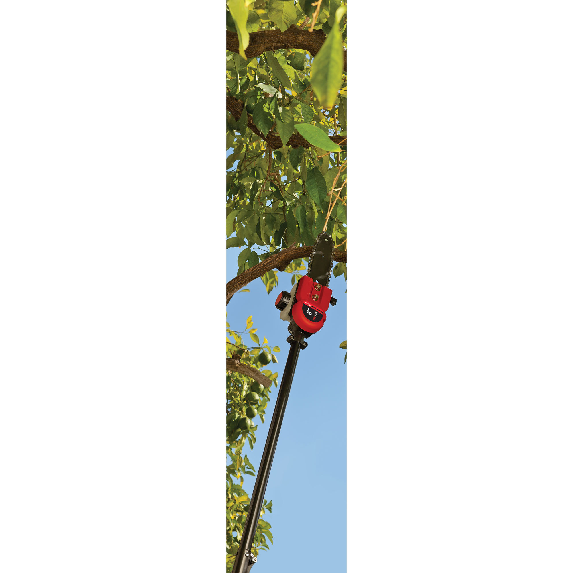 TPP720 TrimmerPlus Add On Pole Saw 41CJPA C902 Cub Cadet US