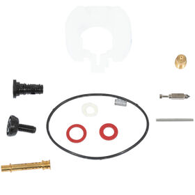 Carburetor Kit &#40;Major&#41;