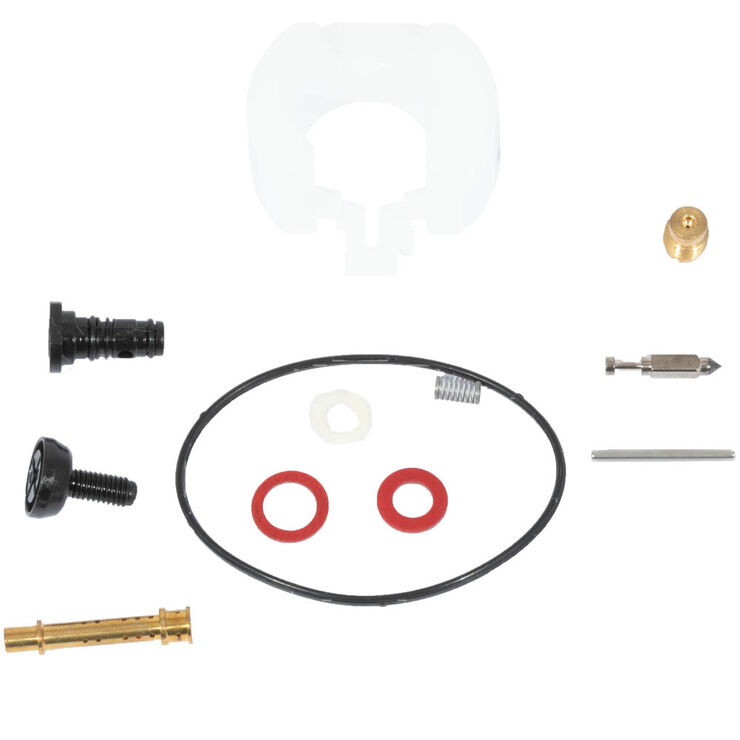 Carburetor Kit &#40;Major&#41;