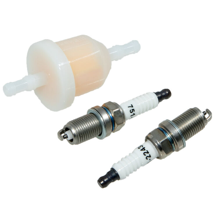 Fuel Filter and Spark Plug Kit